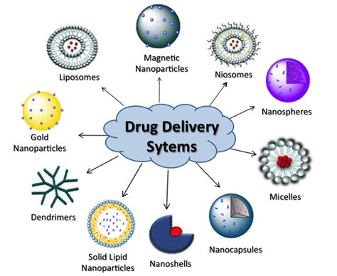 Dextran: Exploring its Biocompatibility for Advanced Drug Delivery Systems!