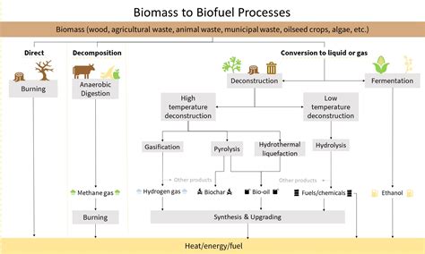 Glycerol: Exploring Its Remarkable Role in Industrial Applications and Biofuel Production